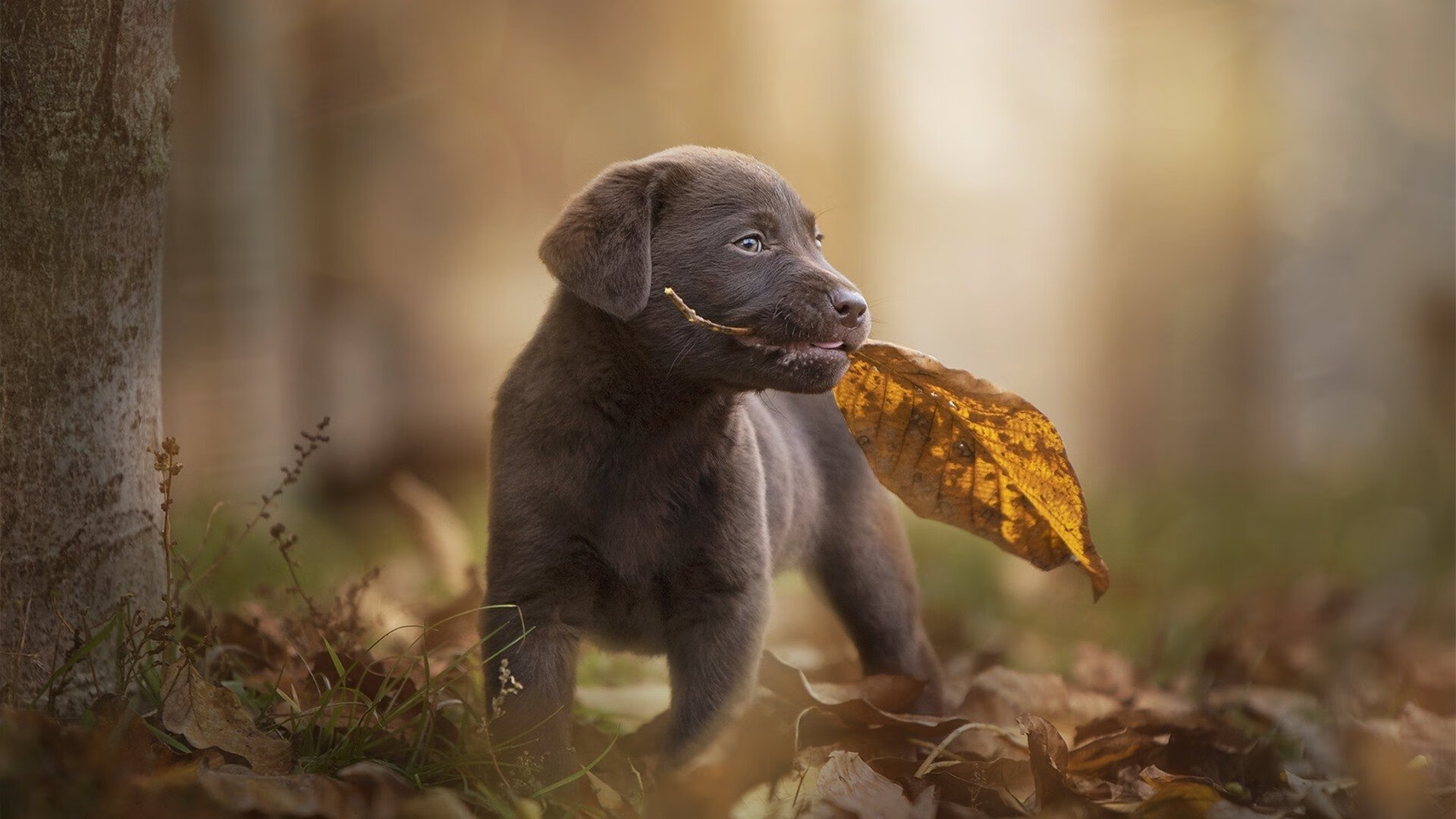 国际热身赛国家队晋级 技术调整成效显著,热身赛算国家队进球吗