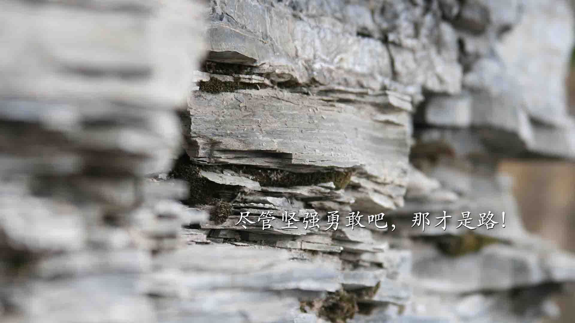 爱游戏体育app-德国队在2024年乒乓世界杯上的精彩表现与成就，2020年德国乒乓球公开赛男单决赛