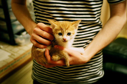 爱游戏体育官网-“萨尔·巴赫在南非国家队的首秀：展现非凡潜力”