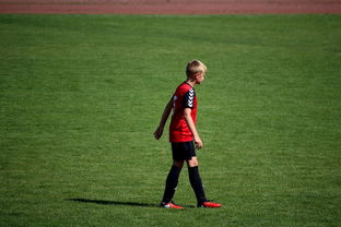 爱游戏全站app注册-中国足球俱乐部青训营技术指导持续加强，中国足球青训机构