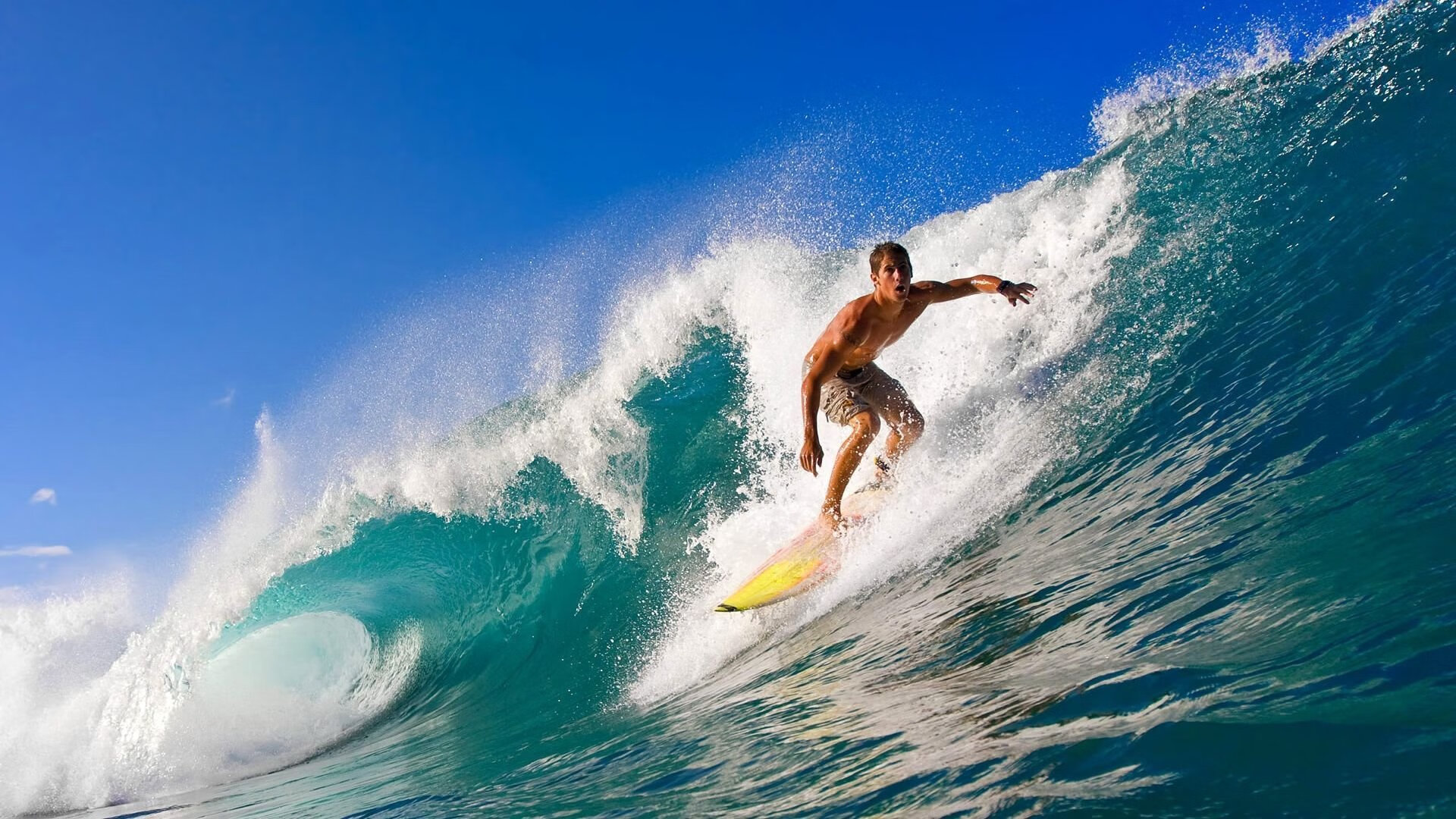 世界桥牌团体锦标赛 中国公开组闯入四强 创多年最佳战绩